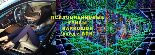 бошки Алзамай